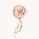 Vince Floral Charm | Superbloom Pink/Gold